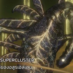 Laniakea Supercluster ต้นแบบดีไซน์ของอสูรเอลเดน – [ARTICLE]