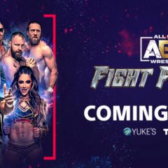 THQ Nordic และ AEW ประกาศวันวางจำหน่ายของ AEW: Fight Forever